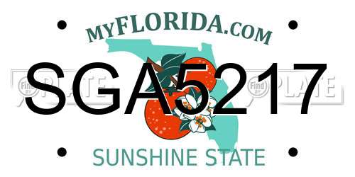 SGA5217 Florida License Plate