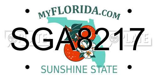 SGA8217 Florida License Plate