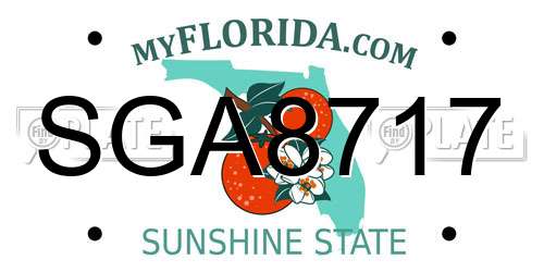 SGA8717 Florida License Plate