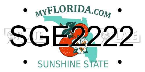 SGE2222 Florida License Plate