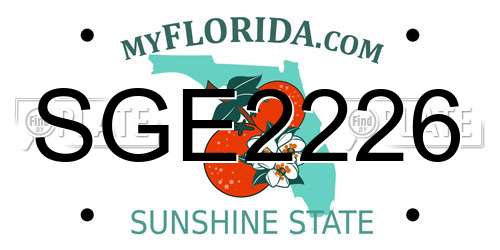 SGE2226 Florida License Plate