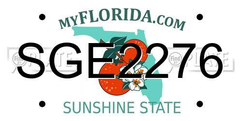 SGE2276 Florida License Plate