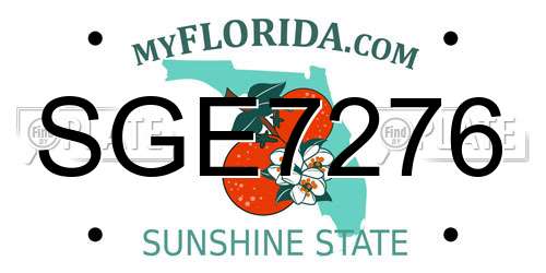 SGE7276 Florida License Plate