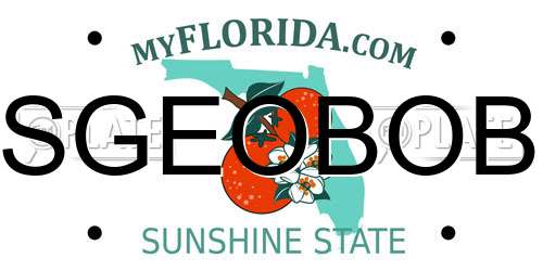 SGEOBOB Florida License Plate