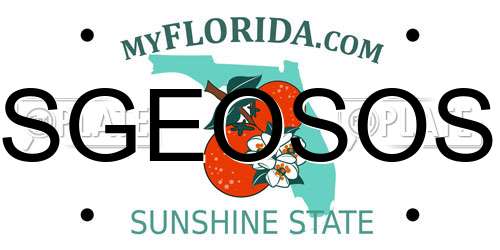 SGEOSOS Florida License Plate