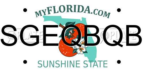 SGEQBQB Florida License Plate