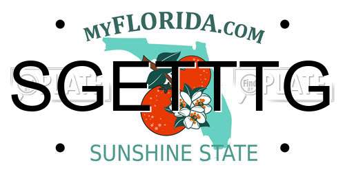 SGETTTG Florida License Plate