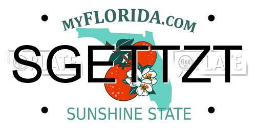 SGETTZT Florida License Plate