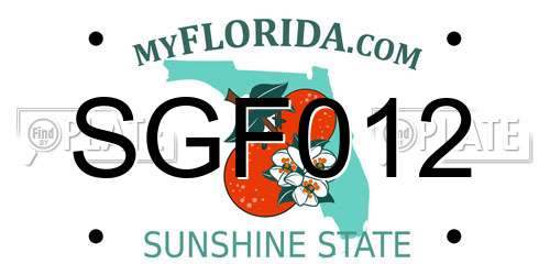 SGF012 Florida License Plate