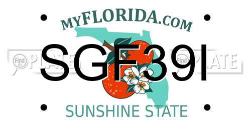 SGF39I Florida License Plate