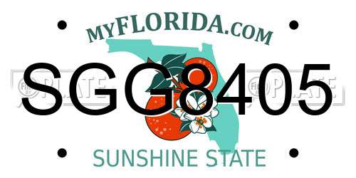 SGG8405 Florida License Plate