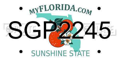 SGP2245 Florida License Plate
