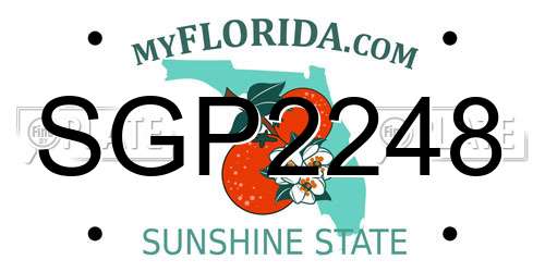 SGP2248 Florida License Plate
