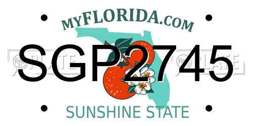 SGP2745 Florida License Plate