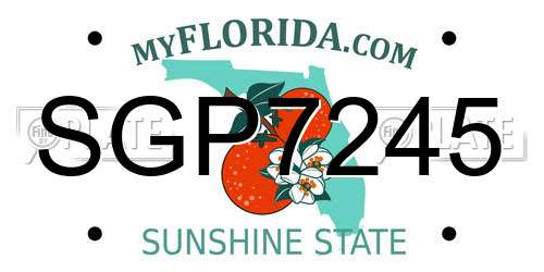 SGP7245 Florida License Plate