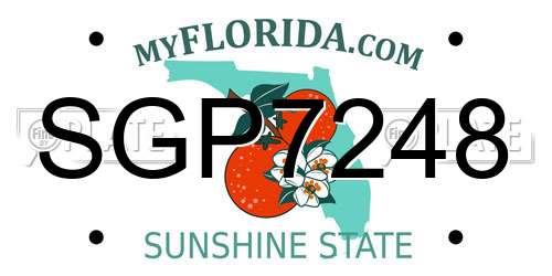 SGP7248 Florida License Plate
