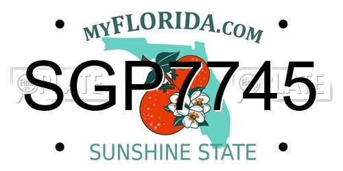 SGP7745 Florida License Plate