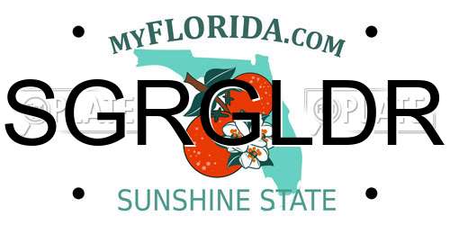 SGRGLDR Florida License Plate
