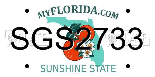 SGS2733 Florida License Plate