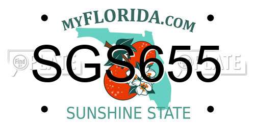 SGS655 Florida License Plate