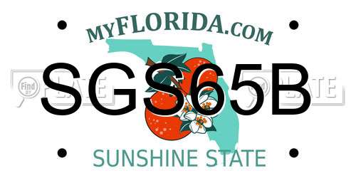 SGS65B Florida License Plate