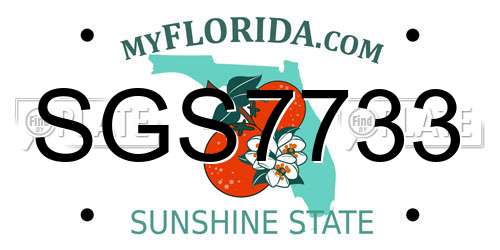 SGS7733 Florida License Plate