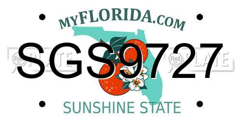 SGS9727 Florida License Plate