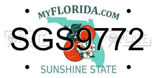SGS9772 Florida License Plate
