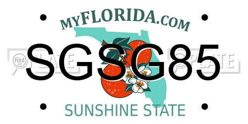 SGSG85 Florida License Plate