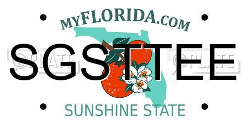 SGSTTEE Florida License Plate