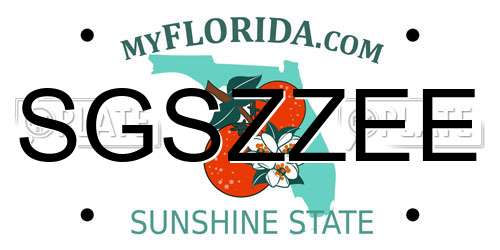 SGSZZEE Florida License Plate
