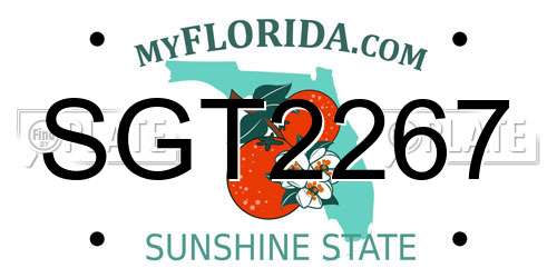 SGT2267 Florida License Plate