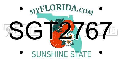 SGT2767 Florida License Plate