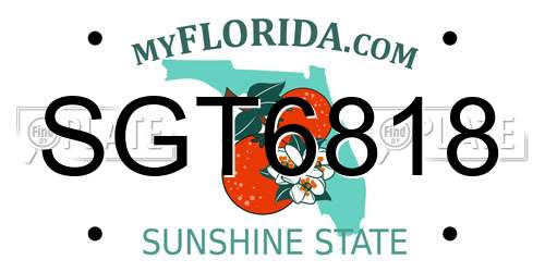 SGT6818 Florida License Plate