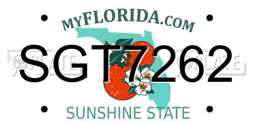 SGT7262 Florida License Plate