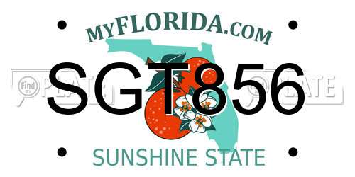SGT856 Florida License Plate