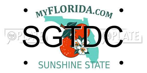SGTDC Florida License Plate