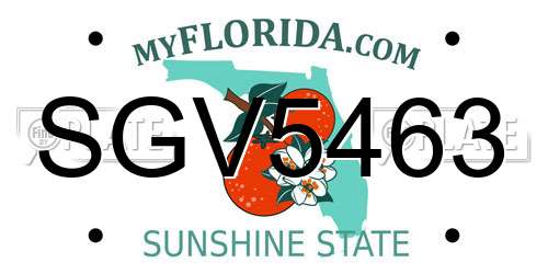 SGV5463 Florida License Plate