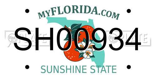 SH00934 Florida License Plate