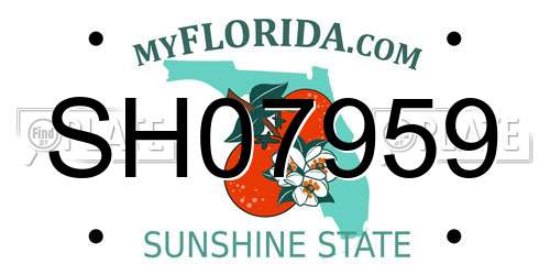 SH07959 Florida License Plate