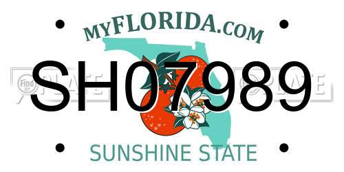 SH07989 Florida License Plate