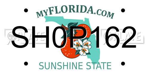 SH0P162 Florida License Plate