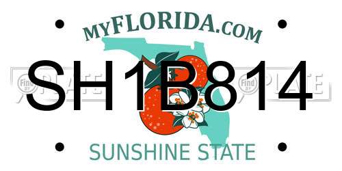 SH1B814 Florida License Plate