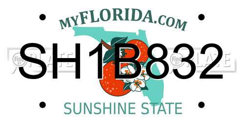 SH1B832 Florida License Plate
