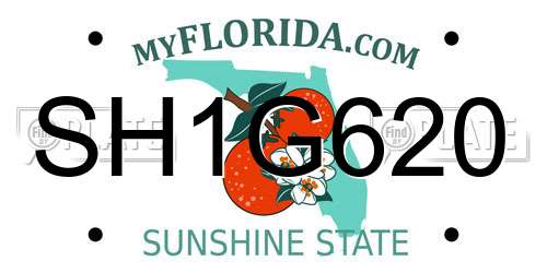 SH1G620 Florida License Plate