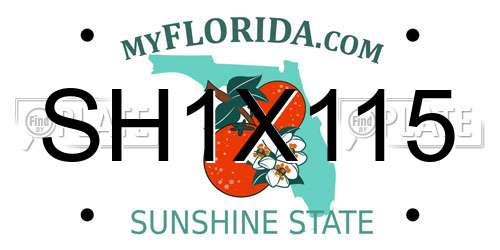 SH1X115 Florida License Plate