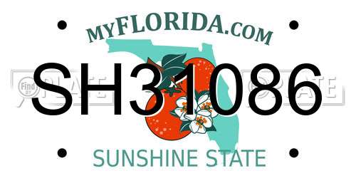 SH31086 Florida License Plate
