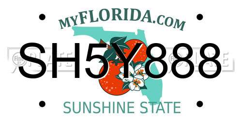 SH5Y888 Florida License Plate
