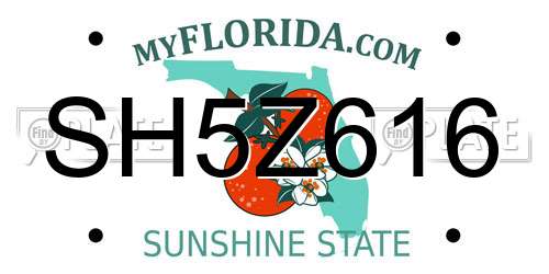 SH5Z616 Florida License Plate