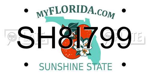 SH8I799 Florida License Plate